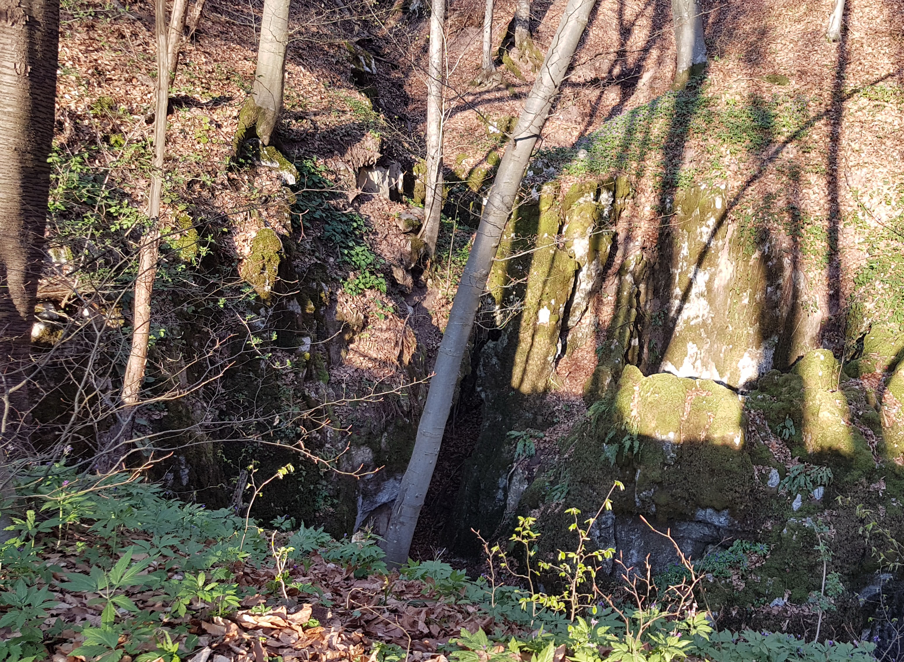 Intrare - Ponorul Ghețarului